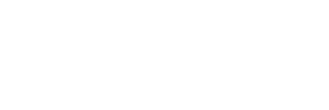 logo schiavone costruzioni